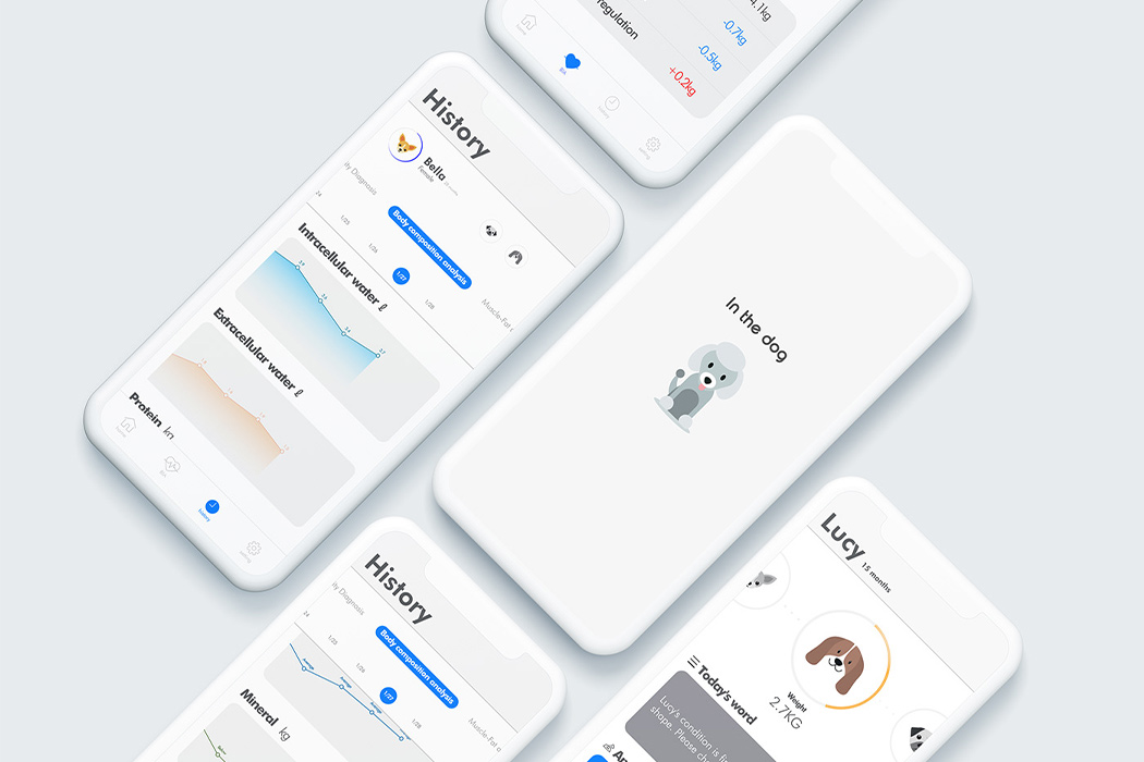 AUTOMATIC DOG FEEDER，Automatic dog feeder，