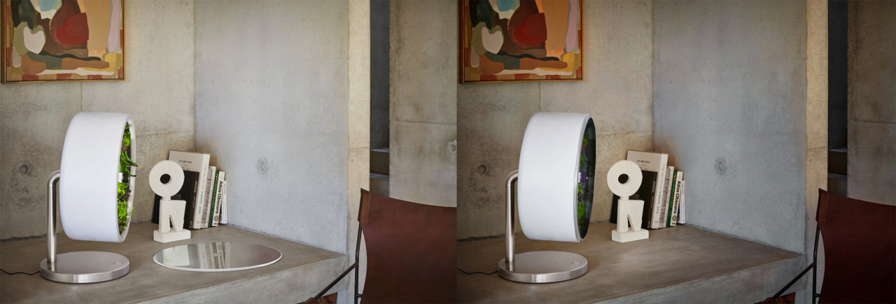 Home furniture，Botany，plant，kitchen，decorate，