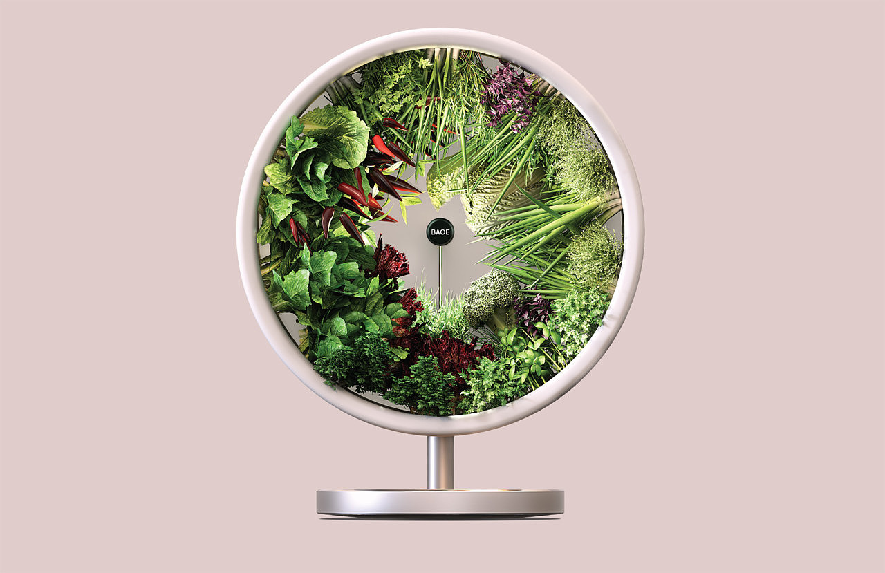 Home furniture，Botany，plant，kitchen，decorate，