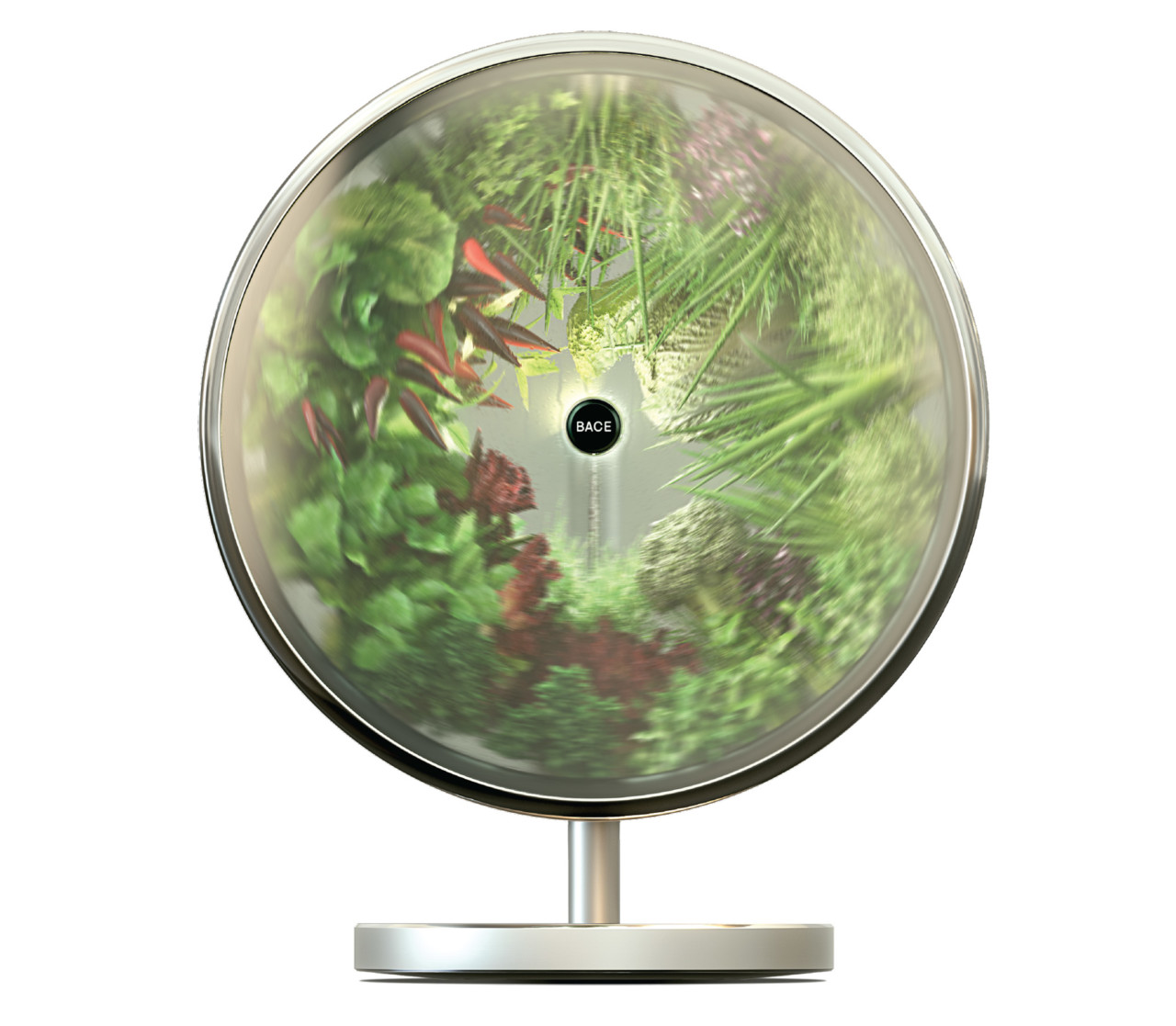 Home furniture，Botany，plant，kitchen，decorate，