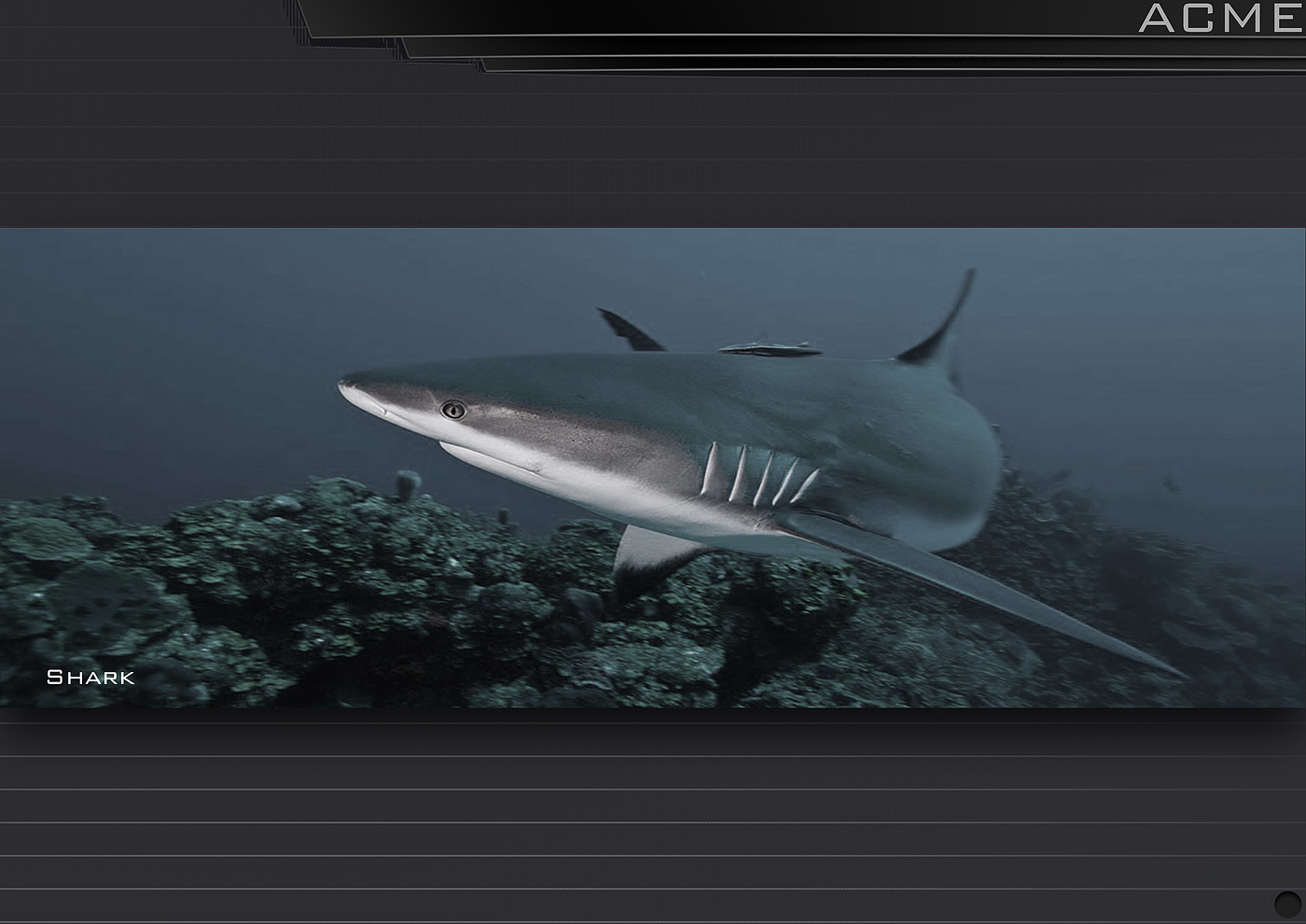 Exclusive interview，Original design，JMGO. Portable projection concept project，