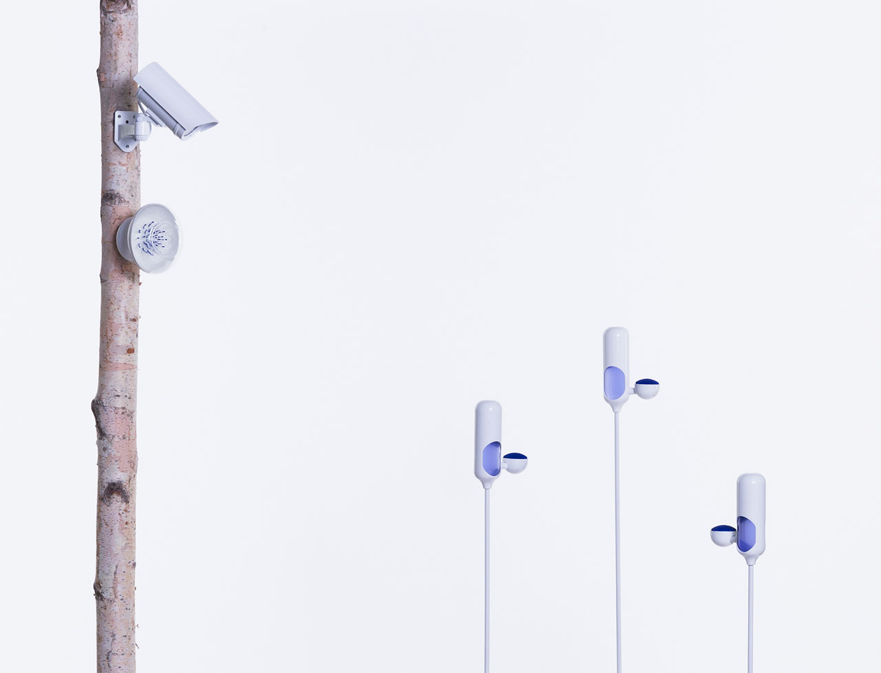 concept，Bee hospital，Speculative design，