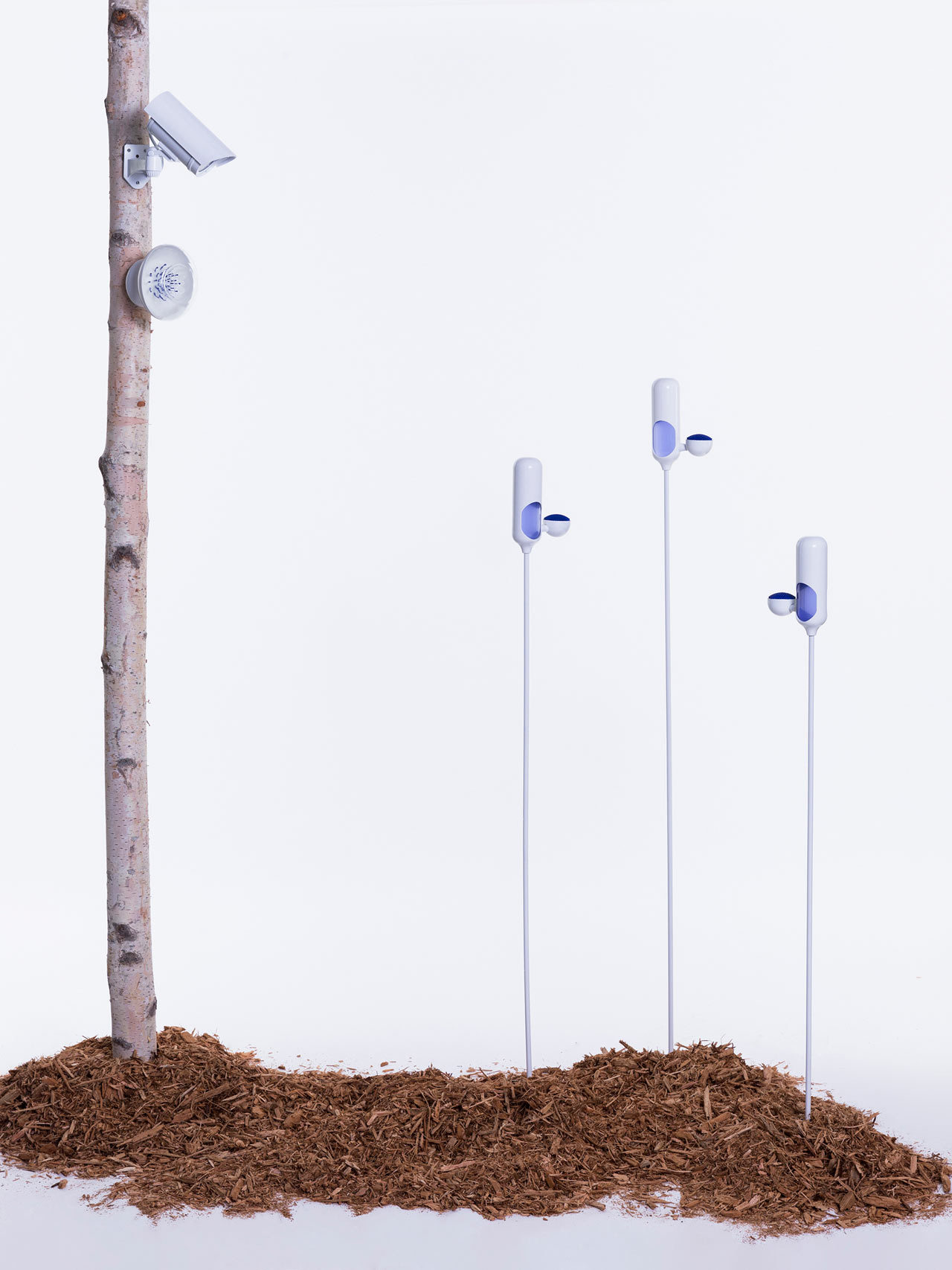 concept，Bee hospital，Speculative design，