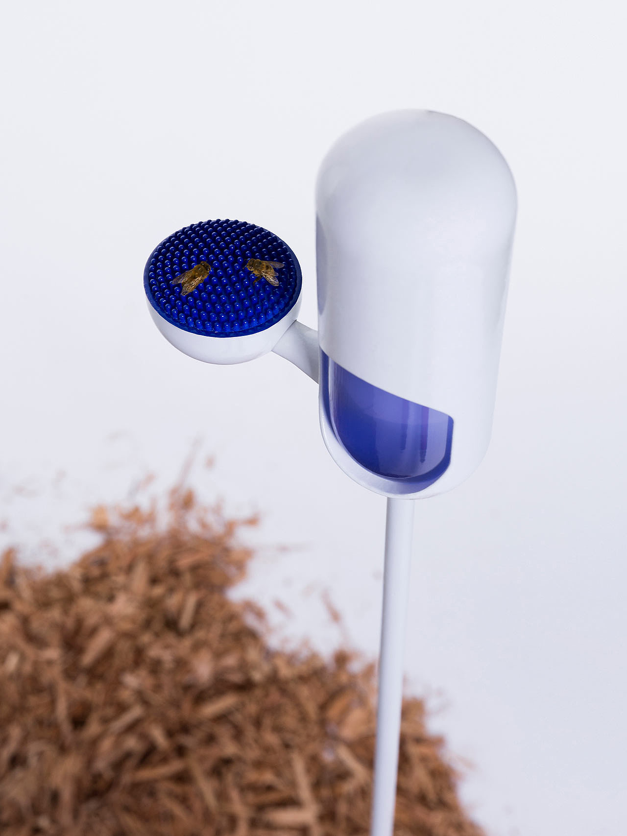 concept，Bee hospital，Speculative design，
