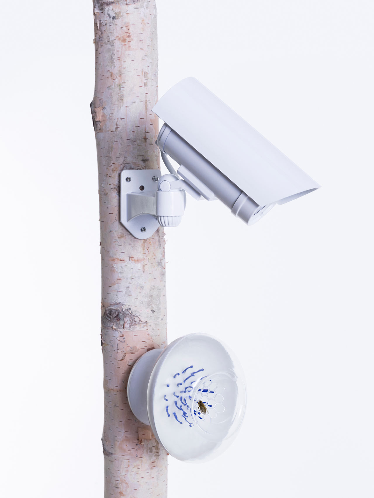 concept，Bee hospital，Speculative design，