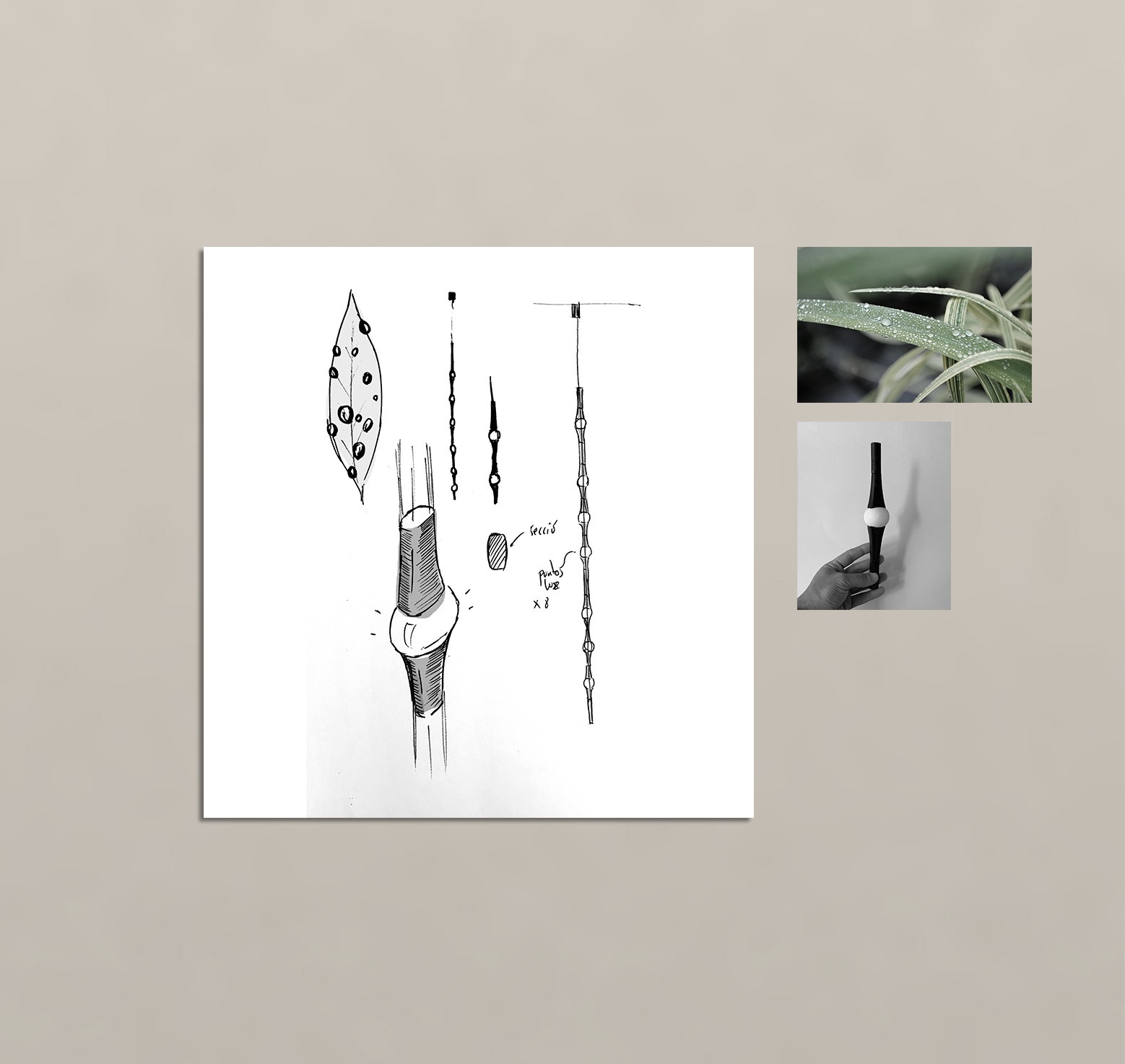 Dew explores light，Grok lighting，Gro lighting，