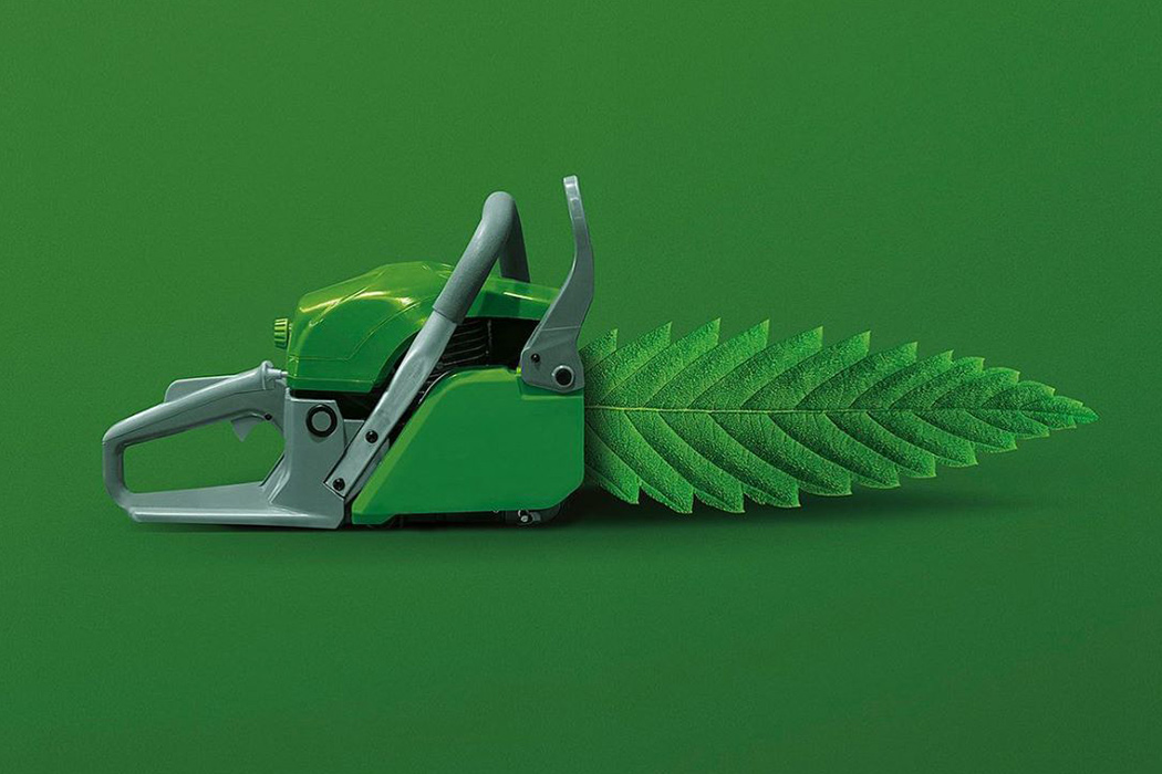 vision，perception，