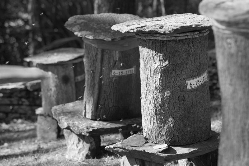 product design，industrial design，furniture，chair，Table，