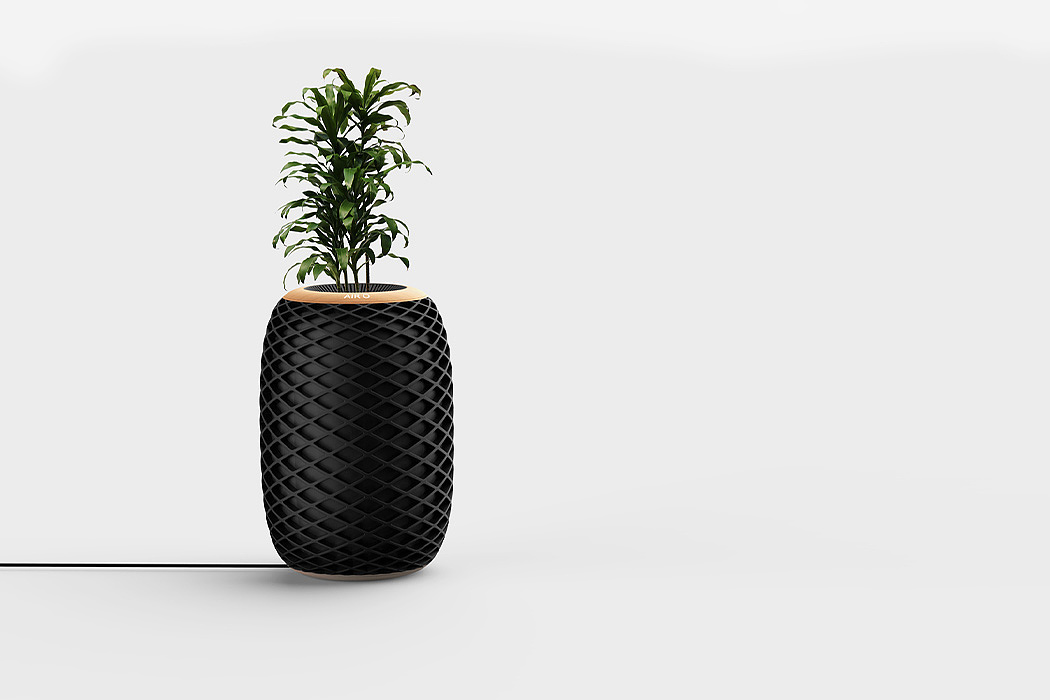 Sheng-Wen Wang，Air O，air cleaner，Potted plants，black，pineapple，intelligence，