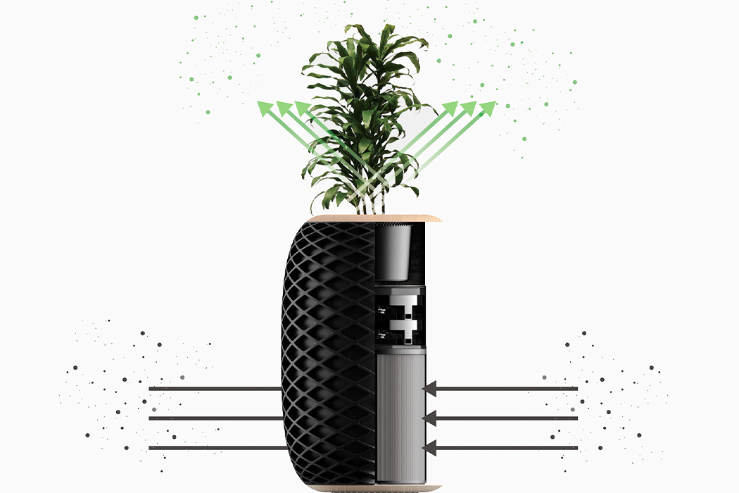 Sheng-Wen Wang，Air O，air cleaner，Potted plants，black，pineapple，intelligence，