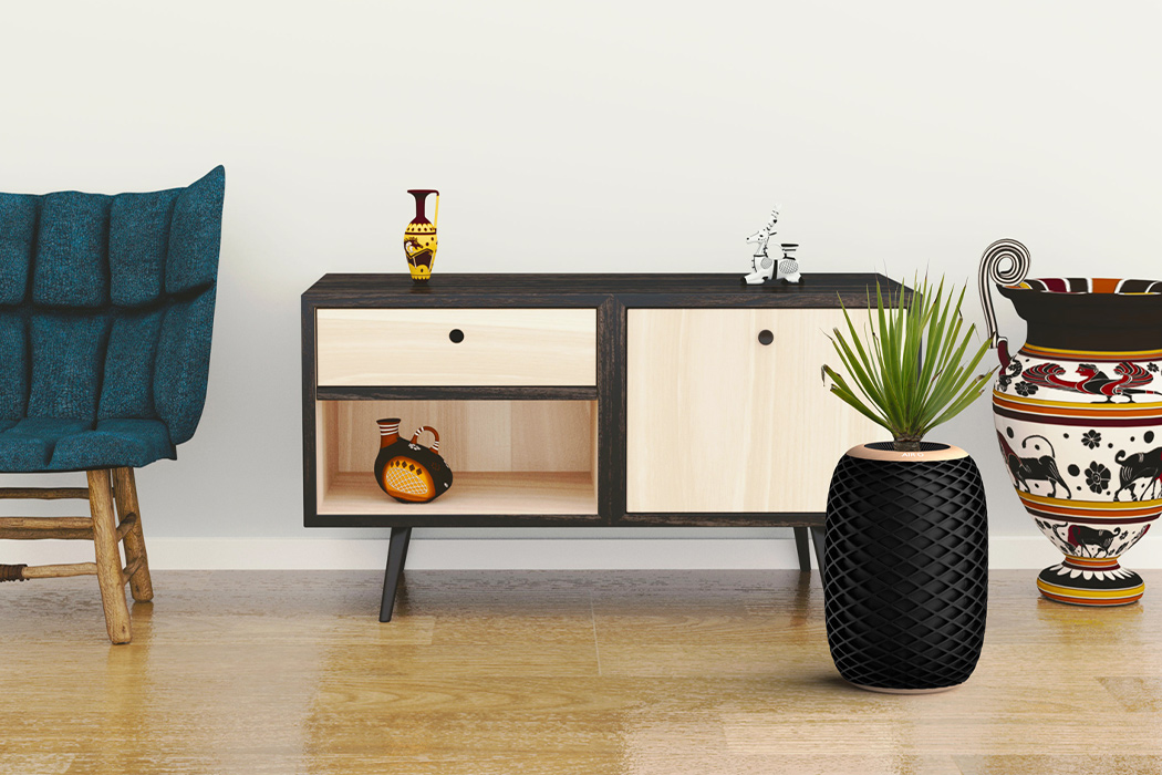 Sheng-Wen Wang，Air O，air cleaner，Potted plants，black，pineapple，intelligence，