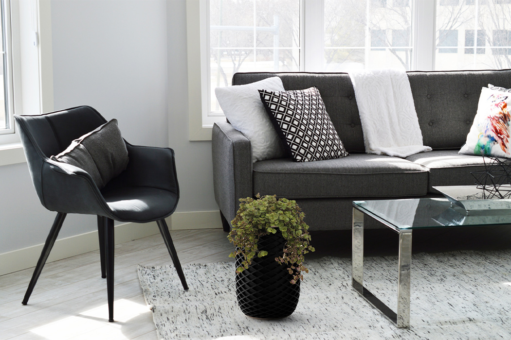 Sheng-Wen Wang，Air O，air cleaner，Potted plants，black，pineapple，intelligence，