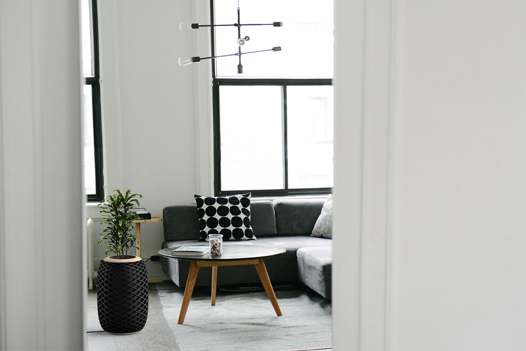 Sheng-Wen Wang，Air O，air cleaner，Potted plants，black，pineapple，intelligence，