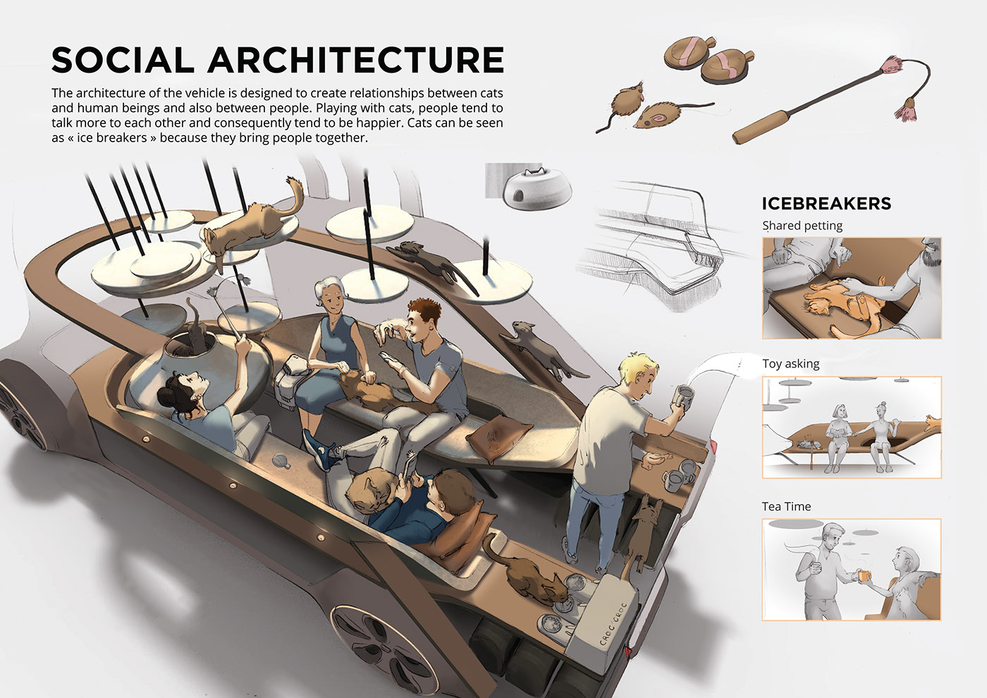 automobile，indoor，bmw，cat，