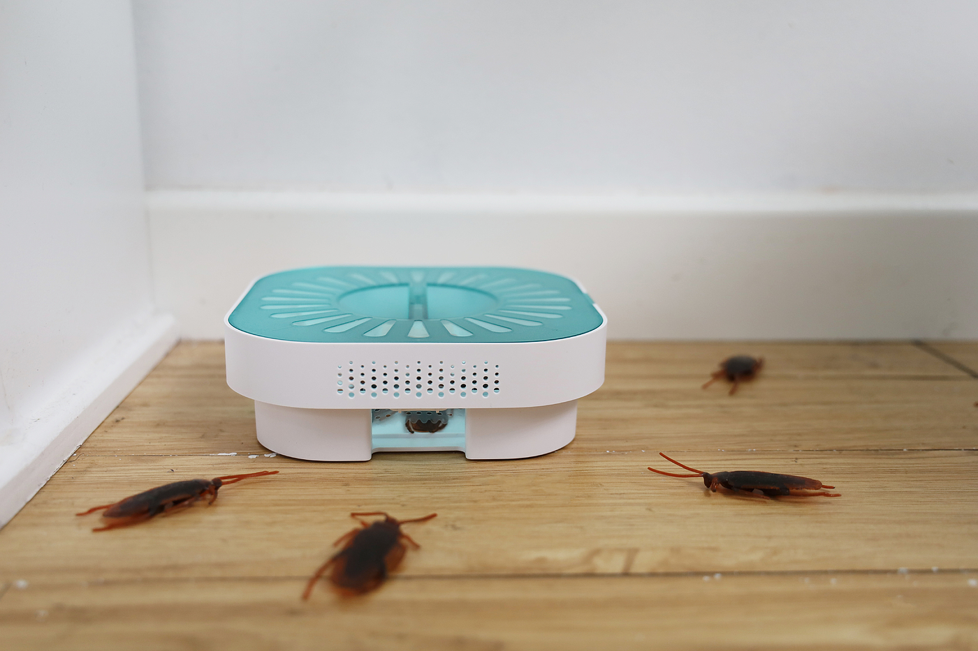 Cockroach trap box, box, cockroach, minimalist，