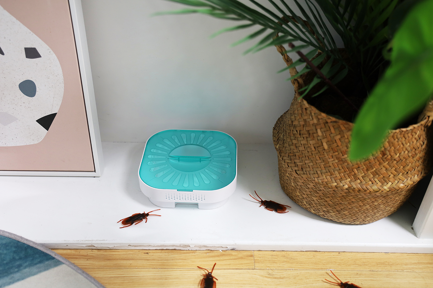 Cockroach trap box, box, cockroach, minimalist，