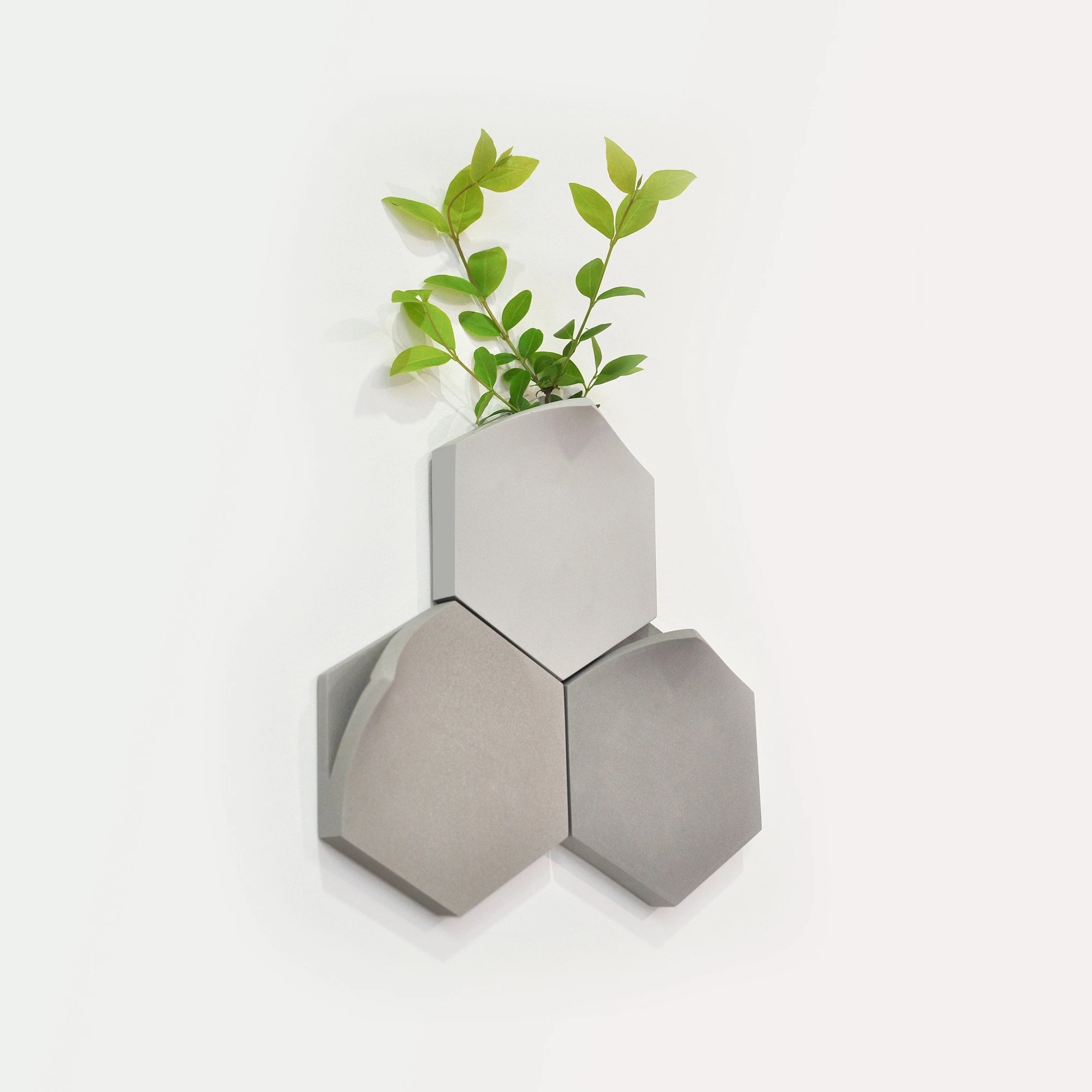 vase，Wall hanging，decorate，