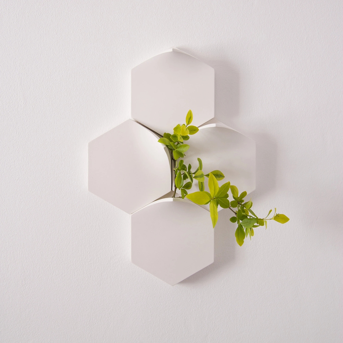 vase，Wall hanging，decorate，