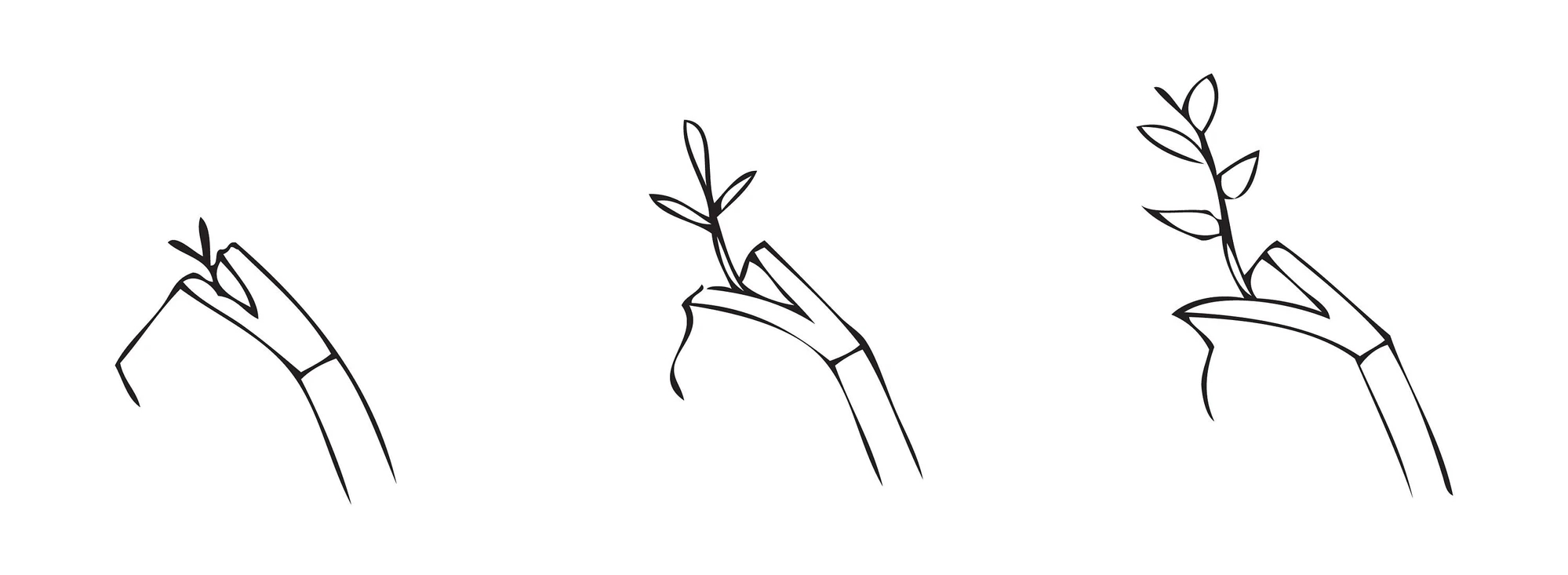 vase，Wall hanging，decorate，