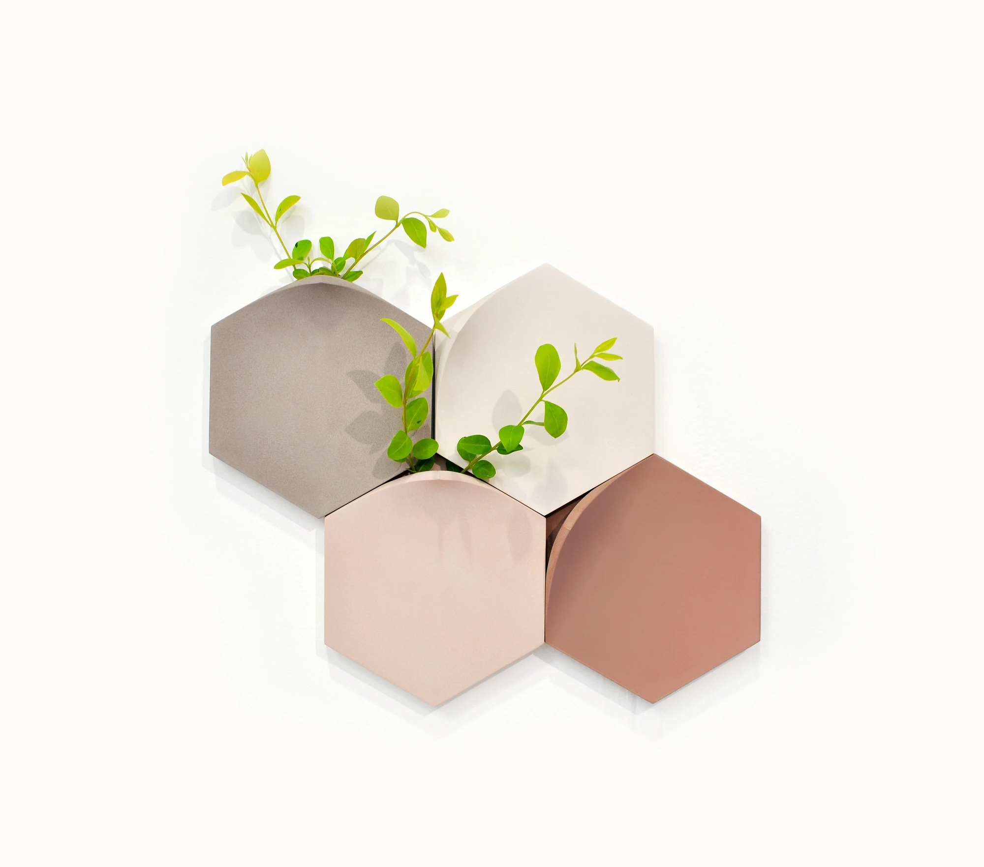 vase，Wall hanging，decorate，