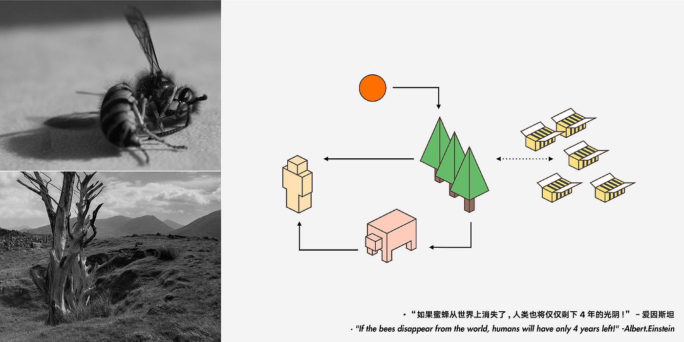 Original design，Issue 7，Design of household air purifier，Mars base location exploration vehicle，