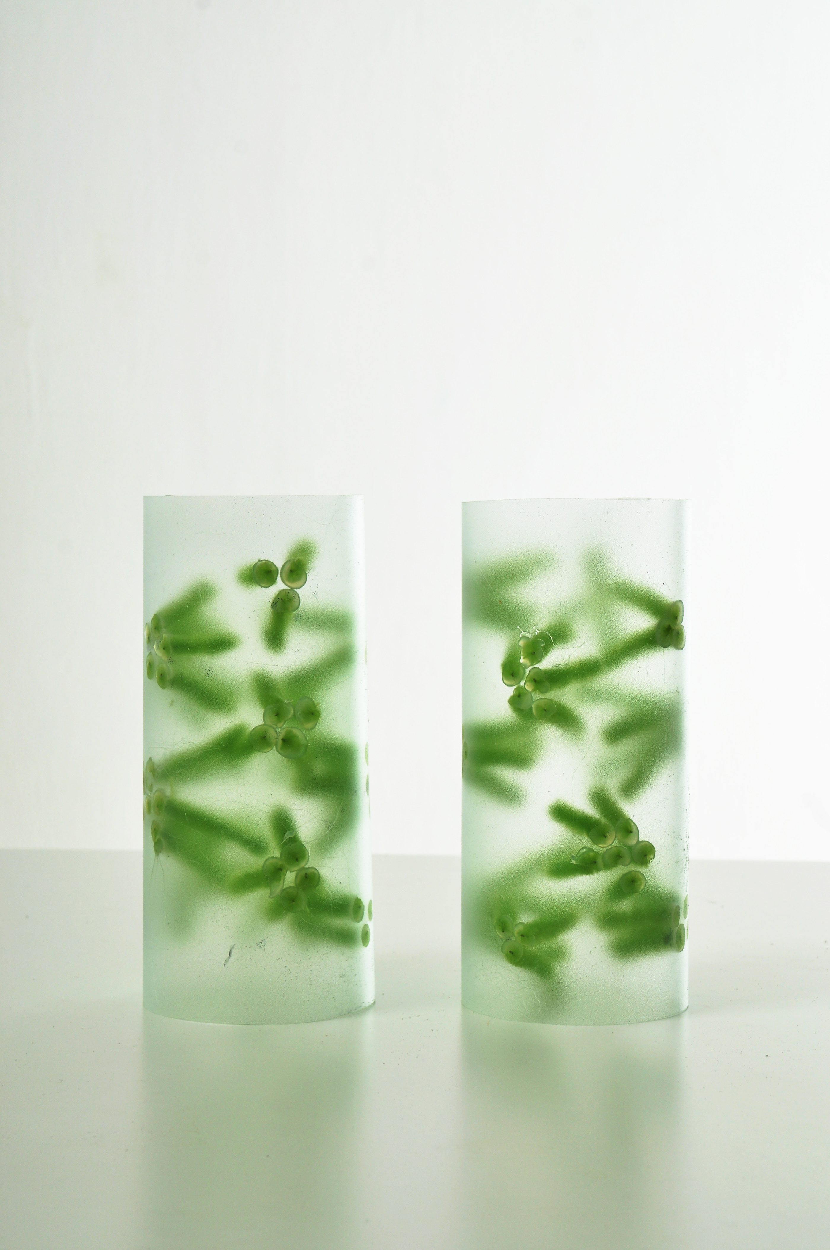 conceptual design，experimental design，theory，future，daily supplies，speculative design，