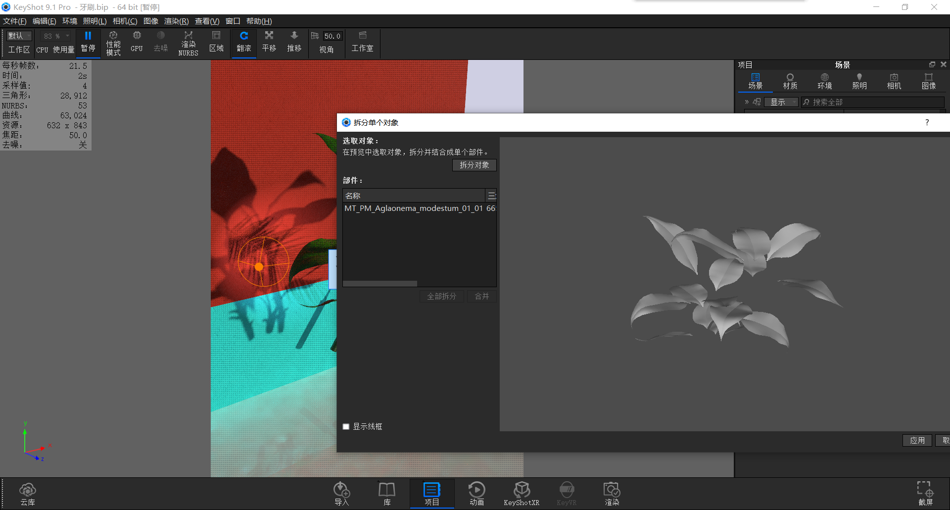 keyshot，Render，course，toothbrush，Classical style，Scene map，leaf，life，