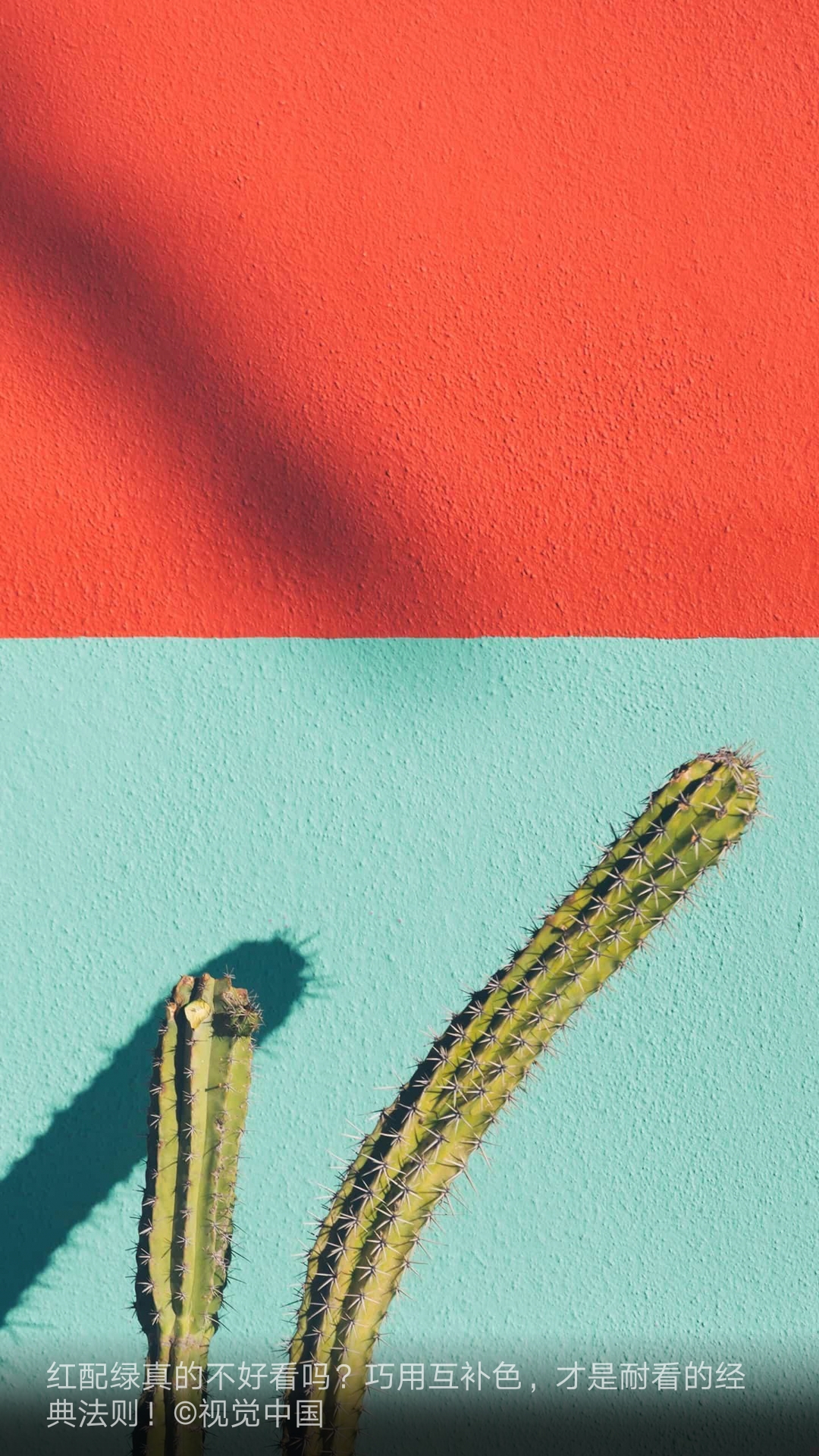 keyshot，Render，course，toothbrush，Classical style，Scene map，leaf，life，