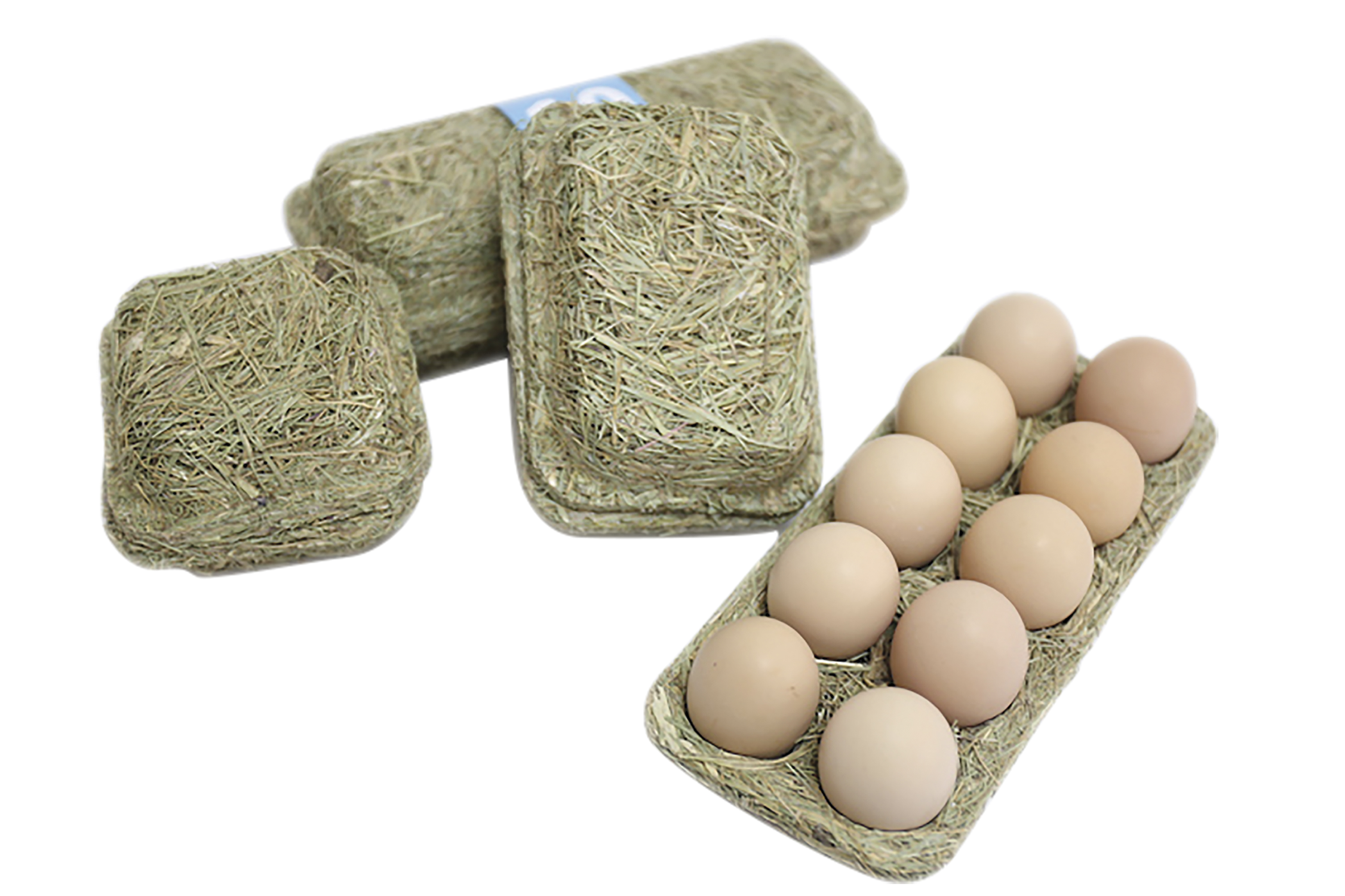 2018 red dot design concept award，Living Green，Pure grass system，biodegradation，environment protection，Egg clip box，Egg protection box，