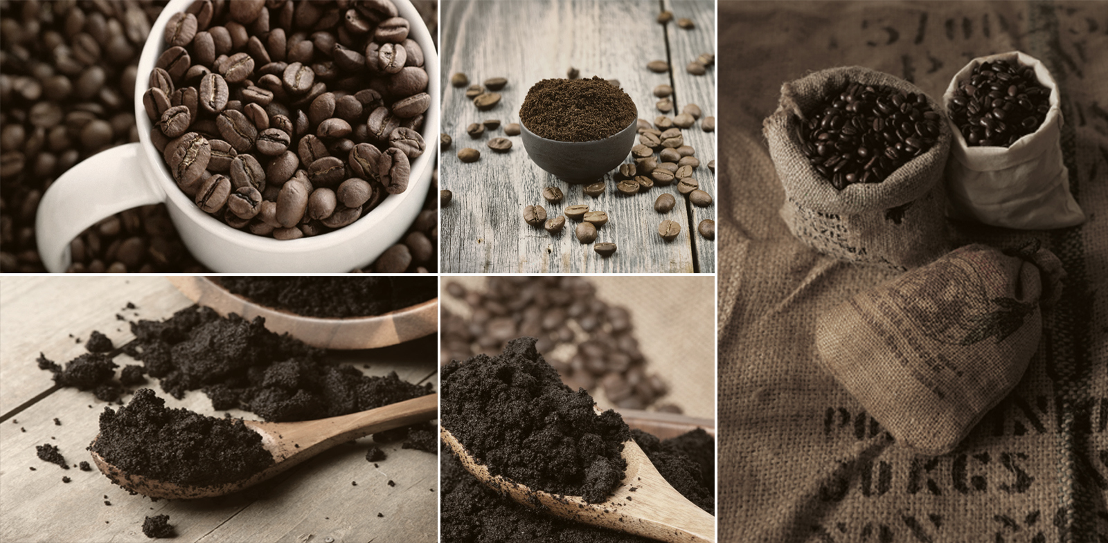 household electrical appliances，leisure time，product design，industrial design，originality，