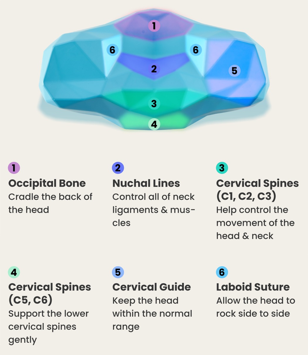 Home furniture，pillow，C-Rest，Ergonomics，cervical vertebra，comfortable，