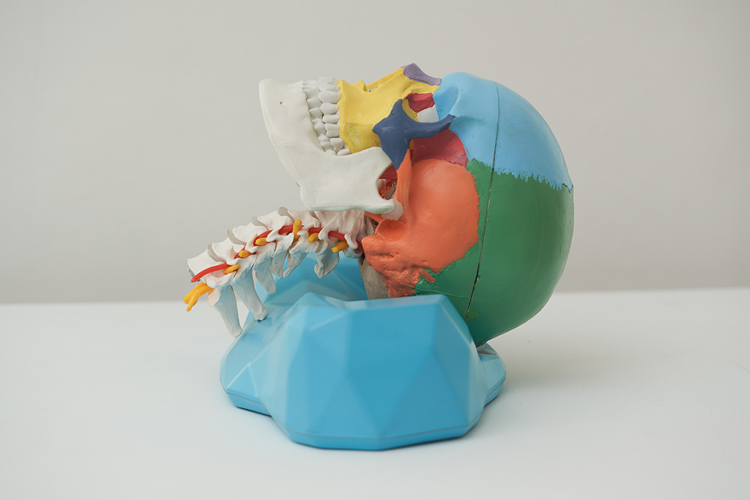 Home furniture，pillow，C-Rest，Ergonomics，cervical vertebra，comfortable，