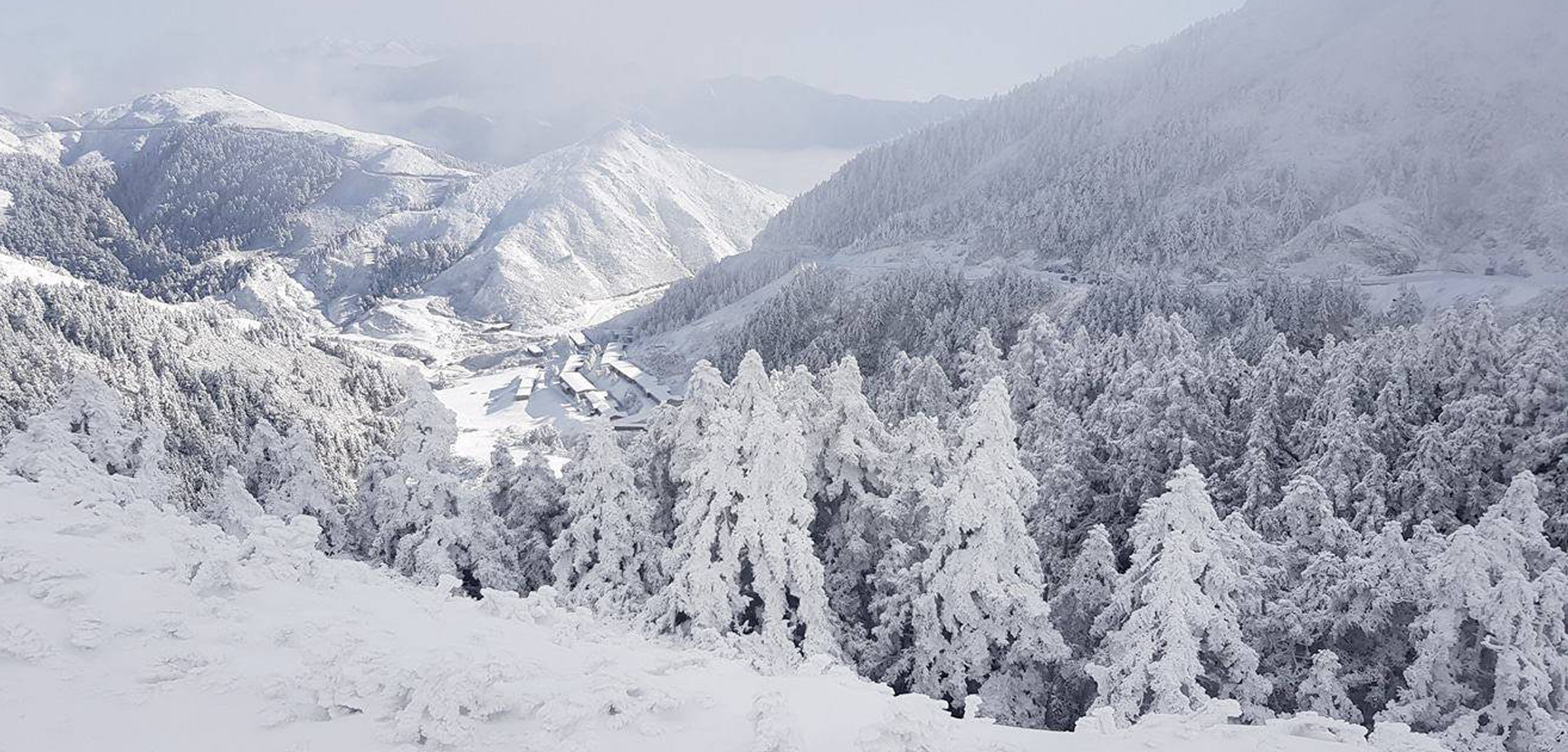 Home Furnishing，try to deceive by covering up one 's real purpose，Xueling，