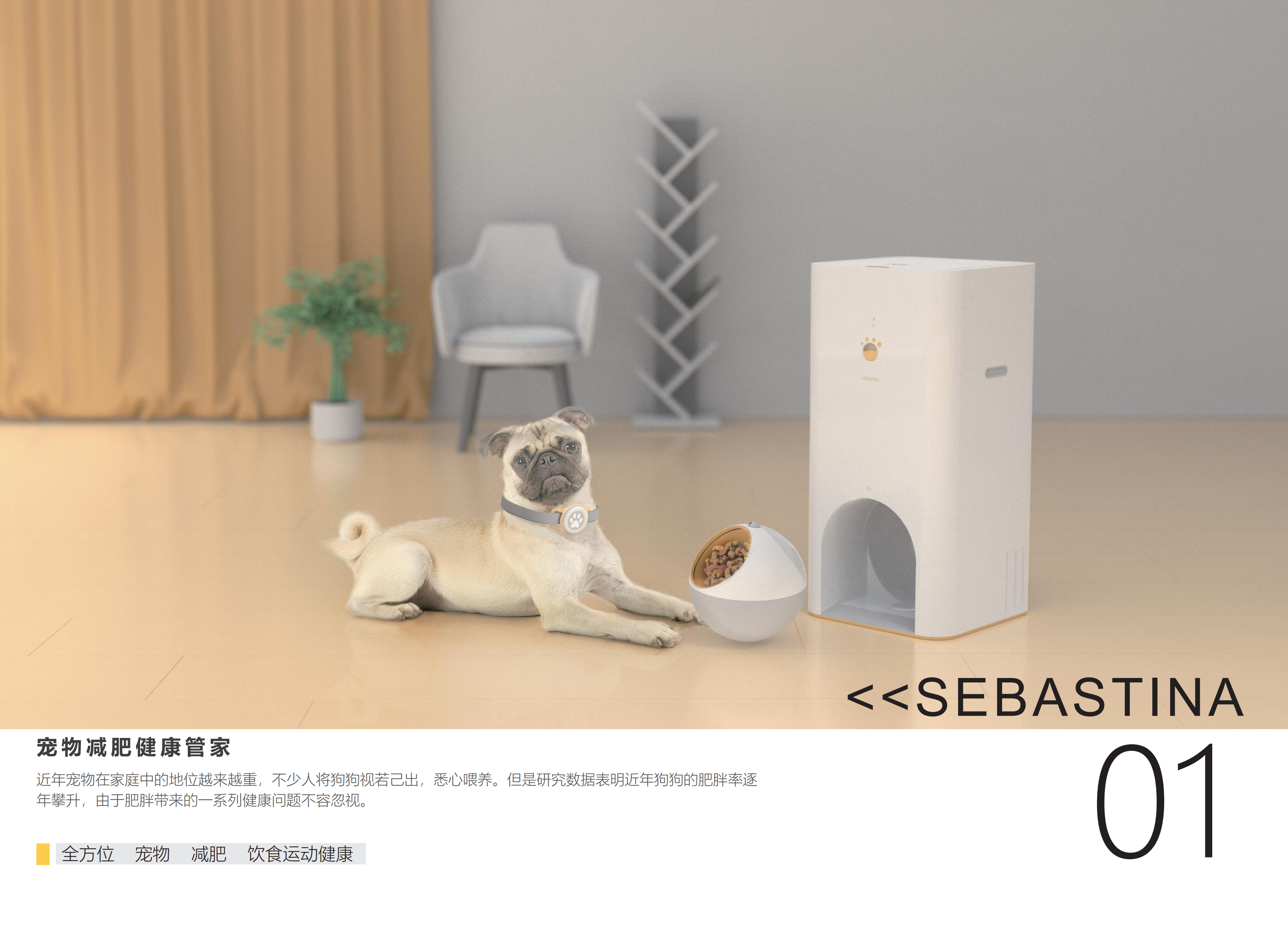 Pets，Motion monitoring，healthy，