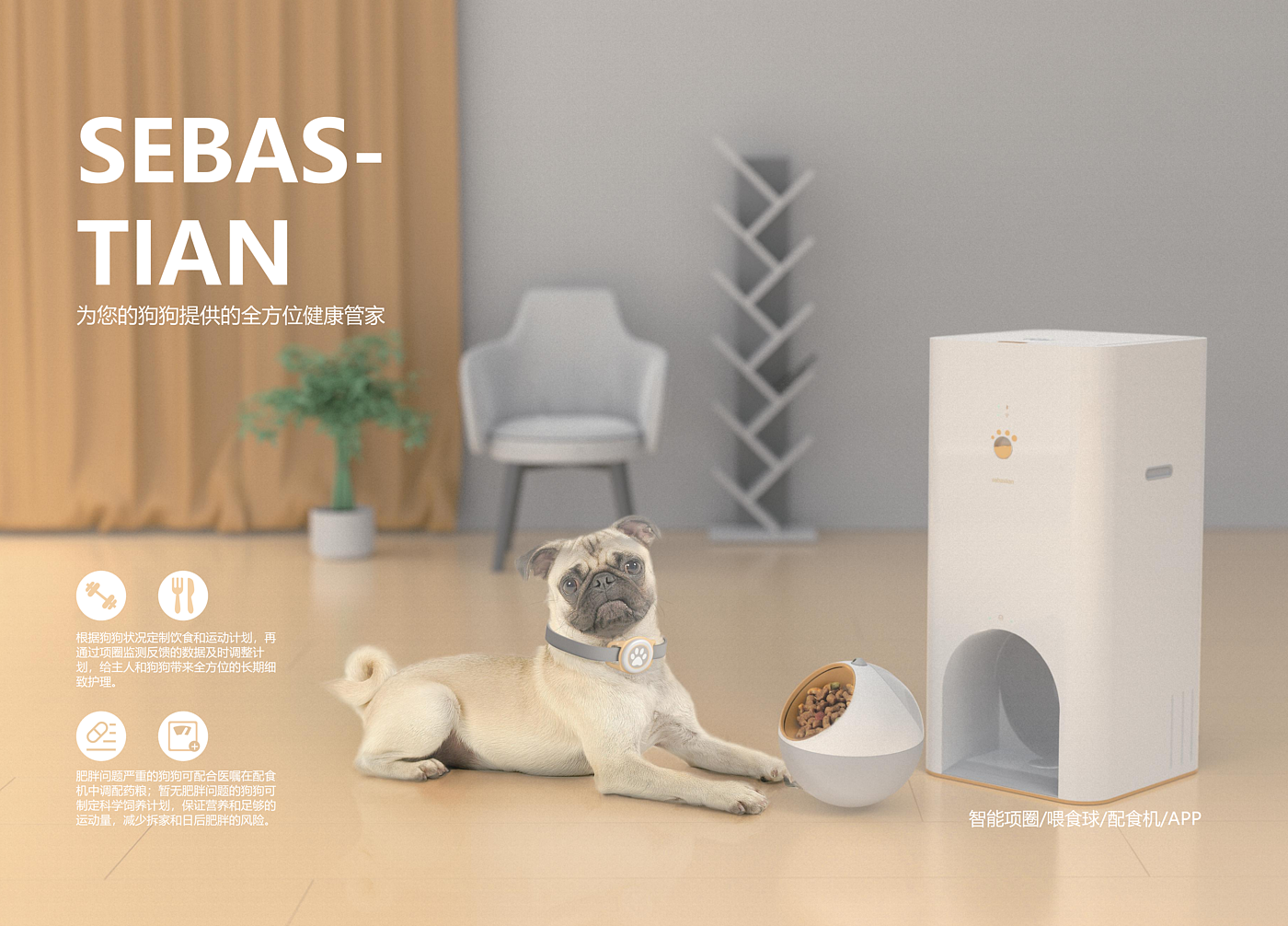 Pets，Motion monitoring，healthy，