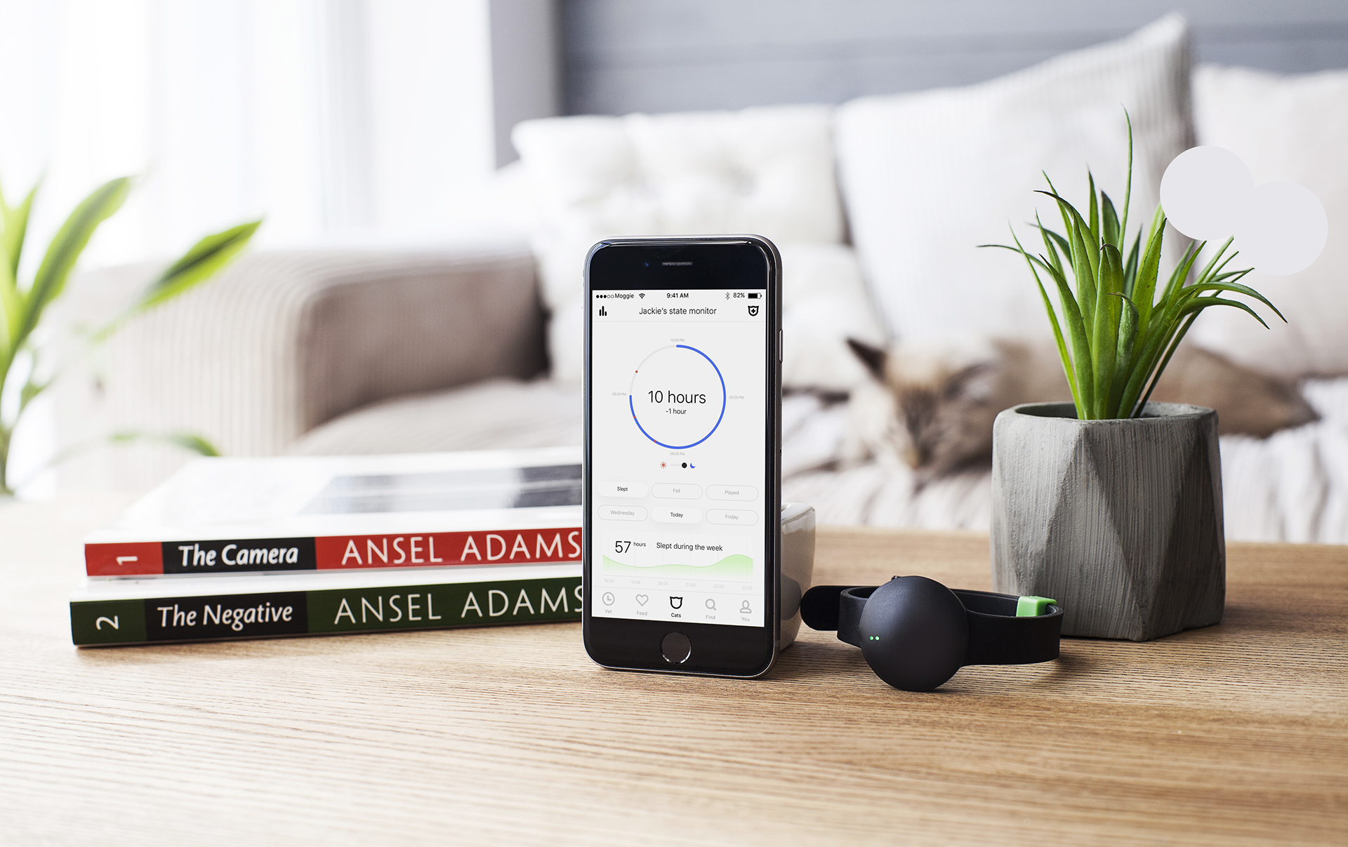 science and technology，interactive，experience，industrial design，product design，Pets，