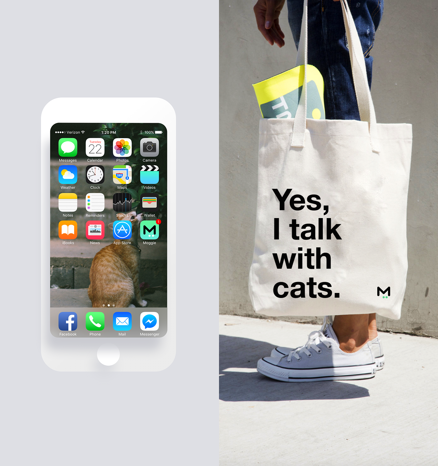 science and technology，interactive，experience，industrial design，product design，Pets，