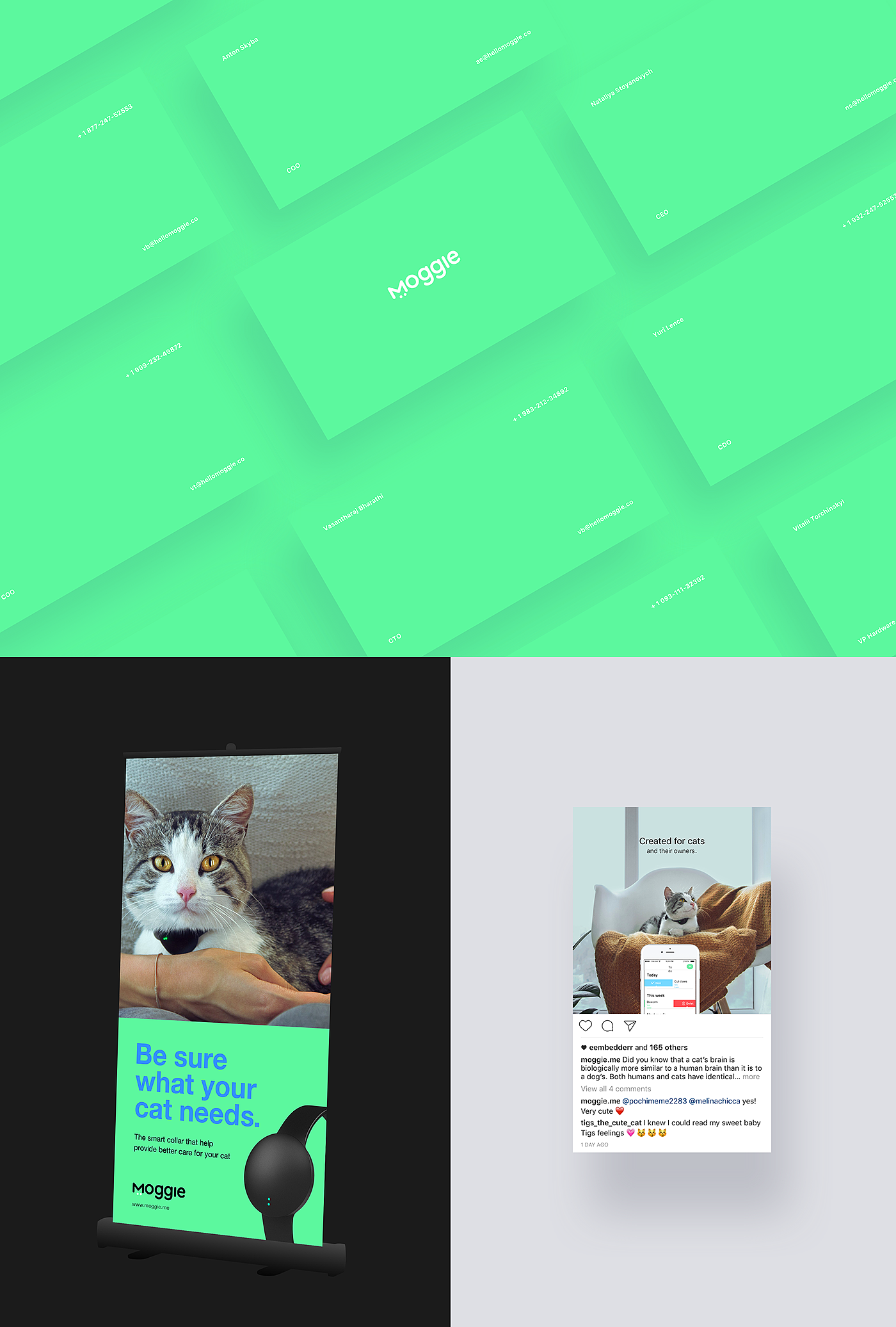 science and technology，interactive，experience，industrial design，product design，Pets，