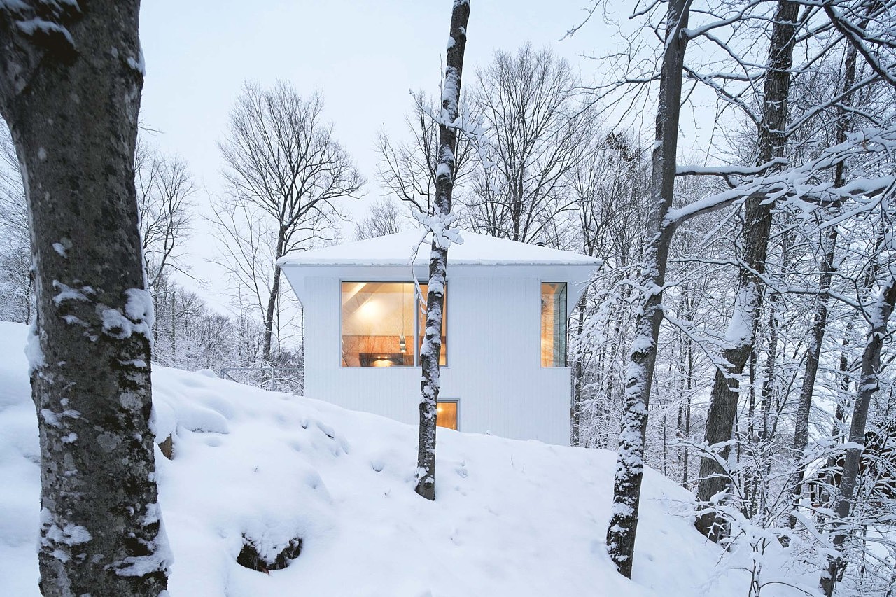 White fish，Poisson Blanc，Residential design，
