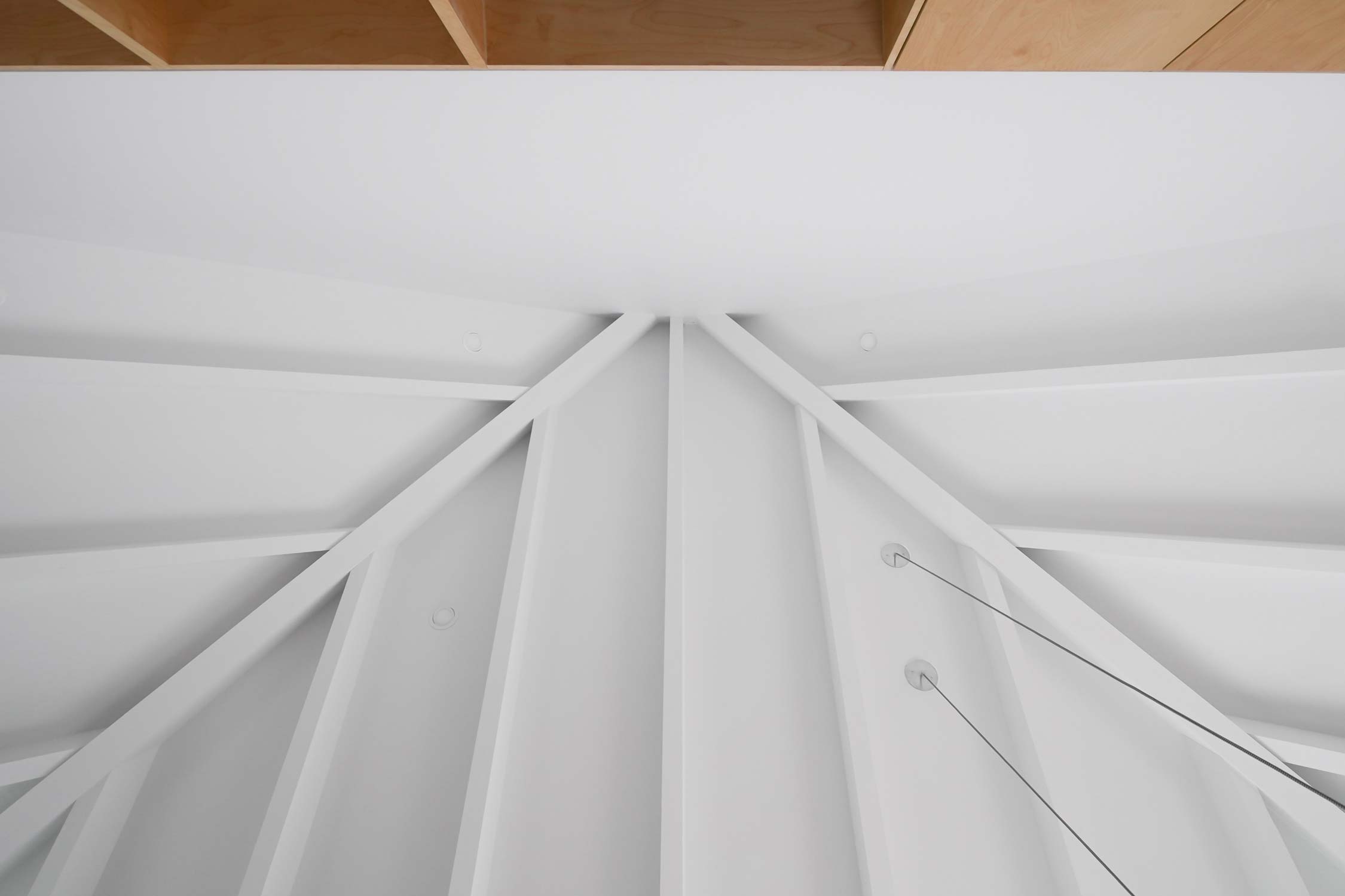 White fish，Poisson Blanc，Residential design，