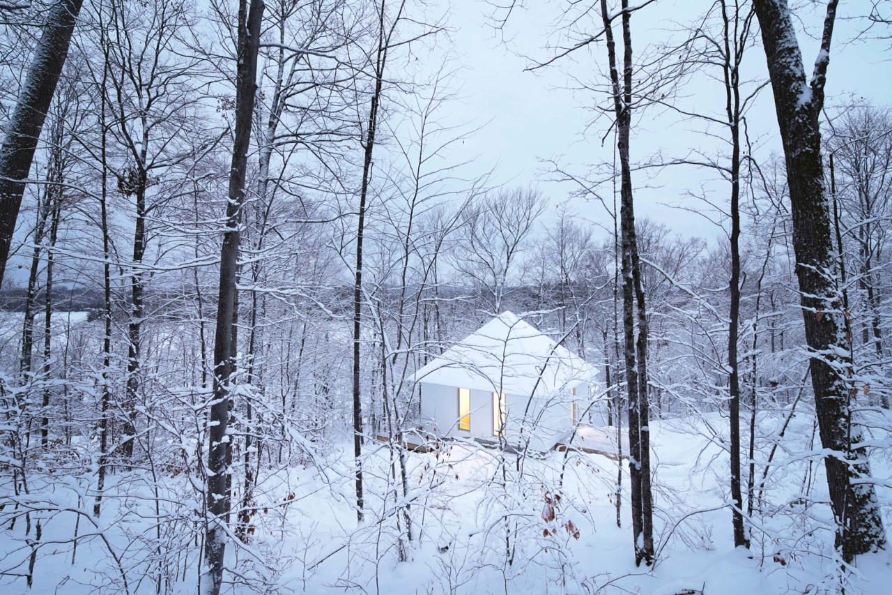 White fish，Poisson Blanc，Residential design，