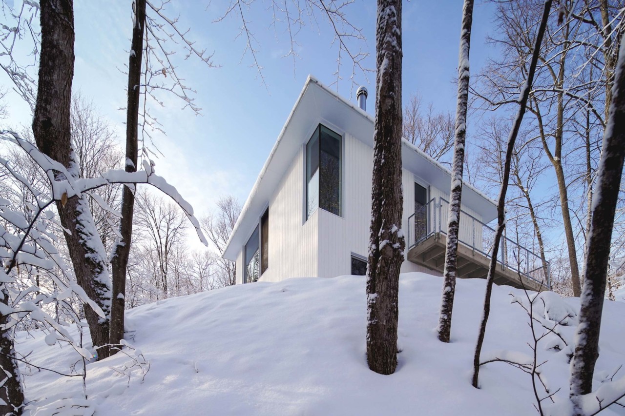 White fish，Poisson Blanc，Residential design，