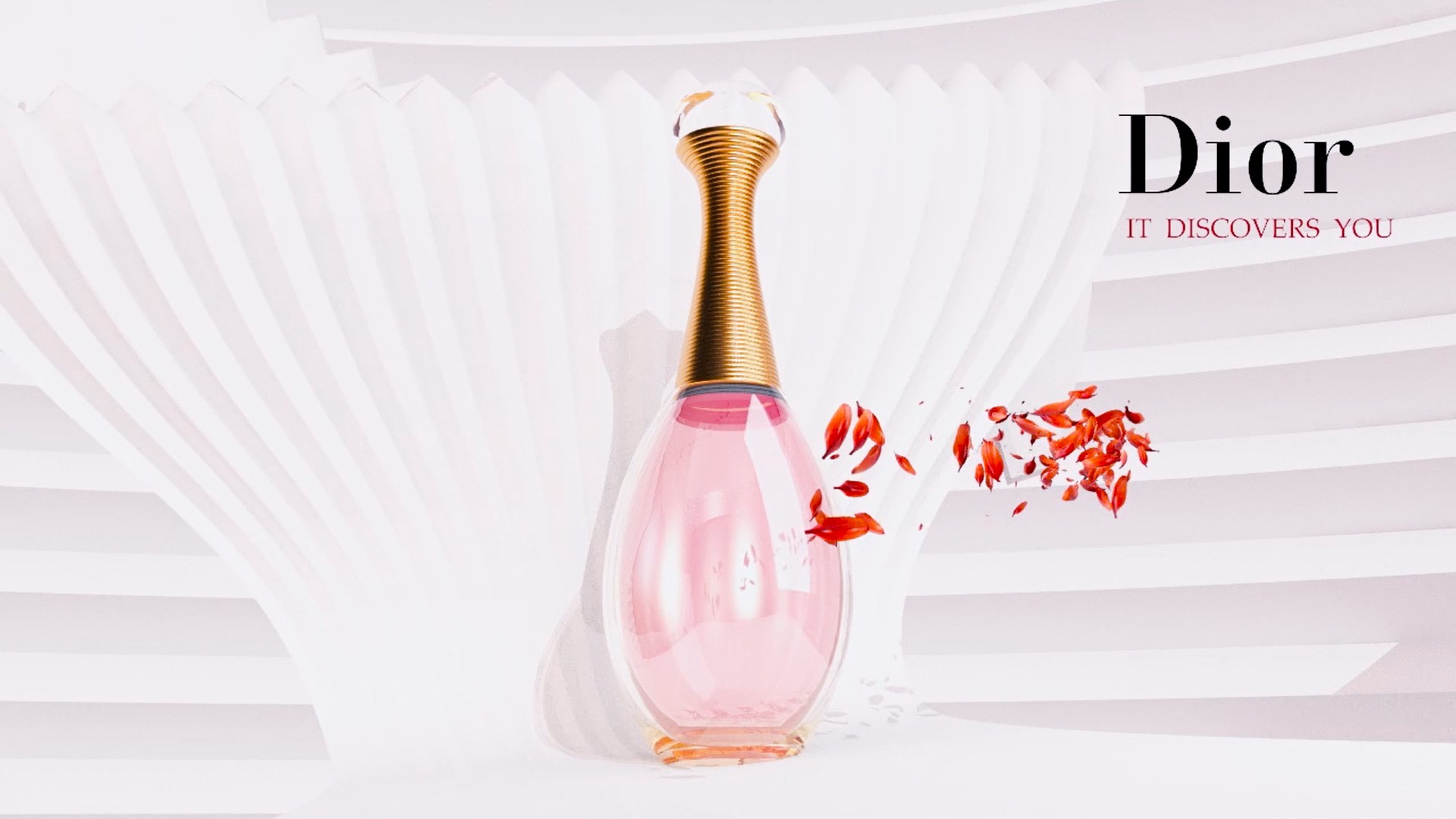 c4d，Redshift，Perfume，animation，