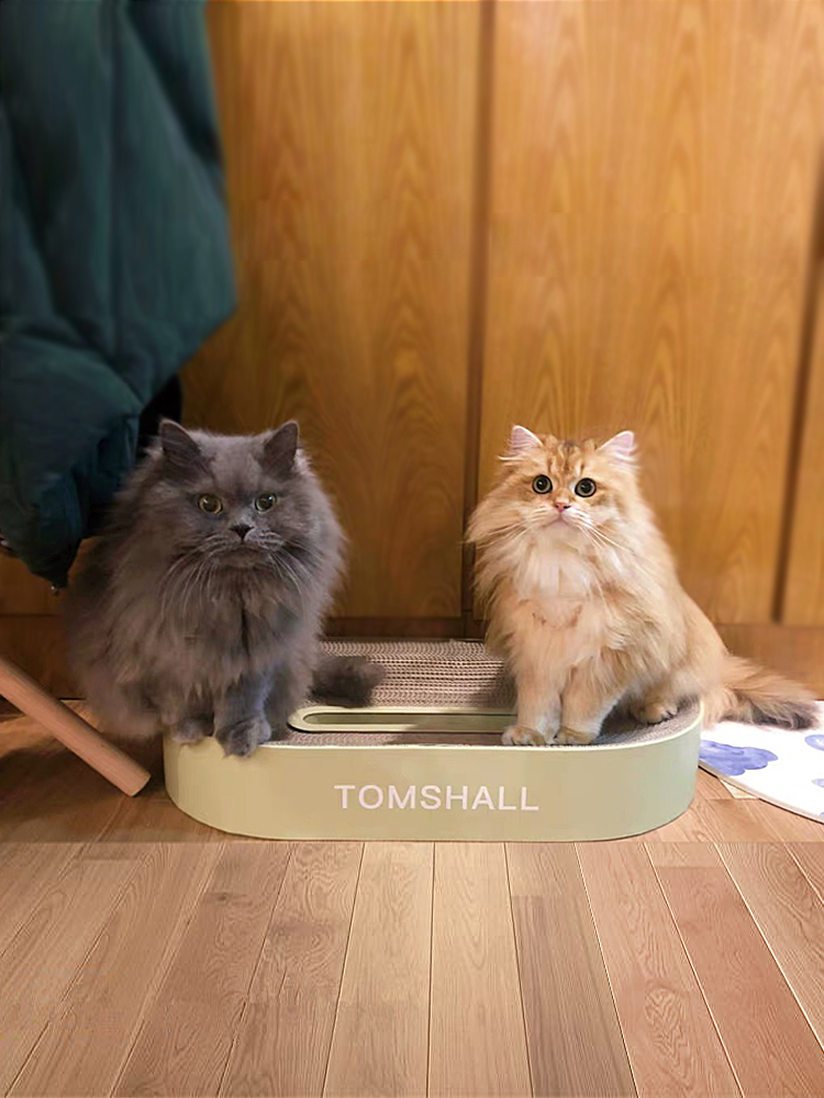 Football Field，Cat scratch board，Corrugated paper，Cat nest，Prevent paper scraps from flying，TOMSHALL，Original design，