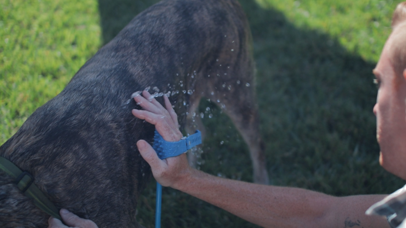 product design，industrial design，Pets，articles for daily use，convenient，