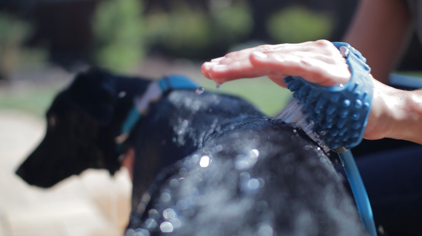 product design，industrial design，Pets，articles for daily use，convenient，