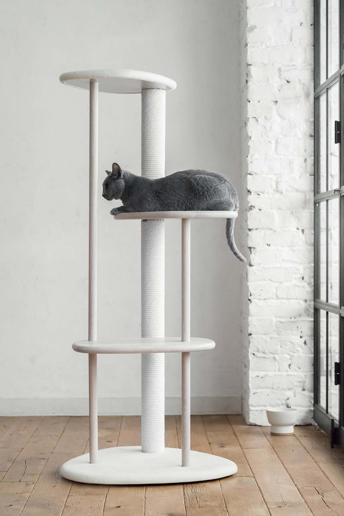 cat，Pets，furniture，Minimalism，