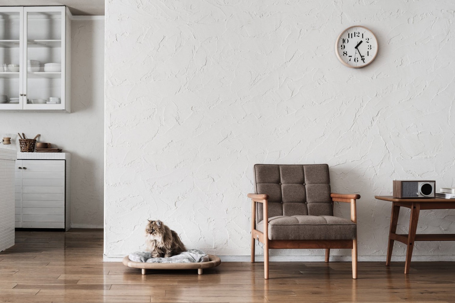 cat，Pets，furniture，Minimalism，