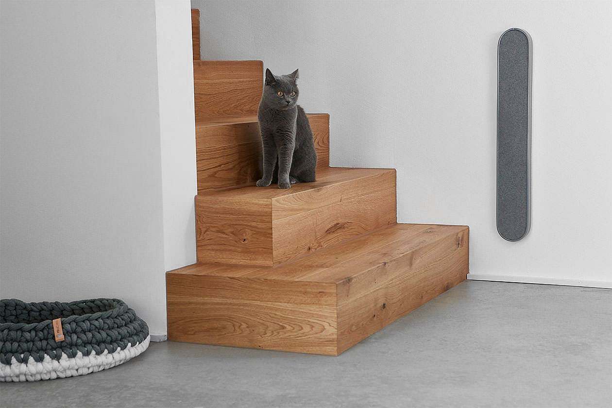cat，Pets，furniture，Minimalism，