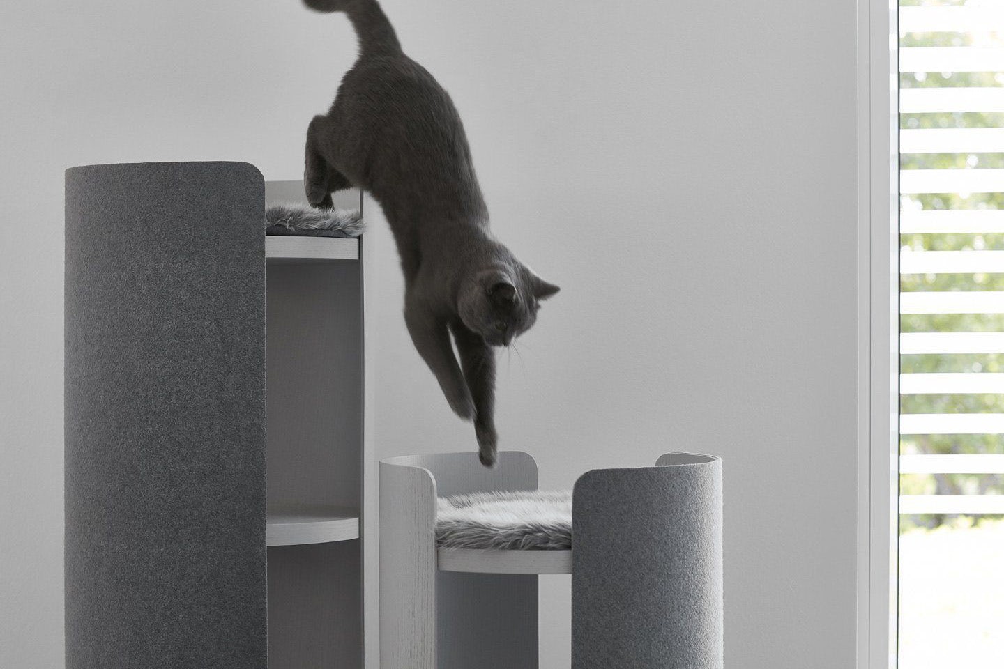 cat，Pets，furniture，Minimalism，